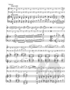 Trio für Violine, Violoncello und Klavier (Johannes Brahms) 