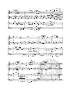 Werke für Klavier zu vier Händen Bd. 3 von Walburga Litschauer im Alle Noten Shop kaufen