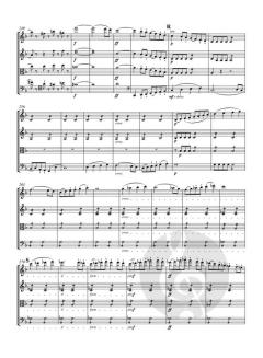 Streichquartette op. 59 I-III von Ludwig van Beethoven im Alle Noten Shop kaufen