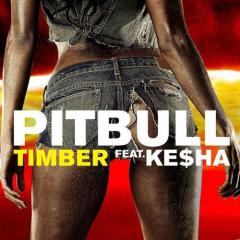 Timber von Pitbull (Download) 
