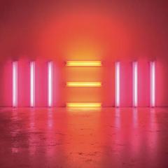 Alligator von Paul McCartney (Download) 