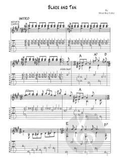 Masters Of Country Blues Guitar von Blind Boy Fuller 