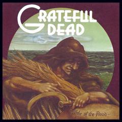 Stella Blue von Grateful Dead (Download) 
