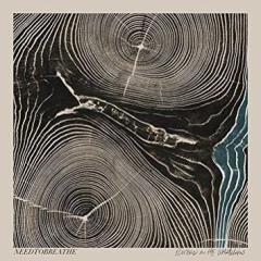 Brother von NEEDTOBREATHE (Download) 