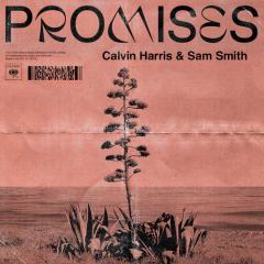 Promises (Feat. Sam Smith) (Download) 