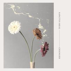 Confidence von Sanctus Real (Download) 