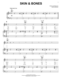 Skin & Bones von Foo Fighters (Download) 