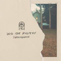 Into The Mystery von NEEDTOBREATHE (Download) 