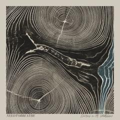 The Heart von NEEDTOBREATHE (Download) 
