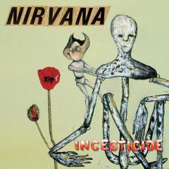 Turn Around von Nirvana (Download) 