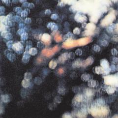 Wots...Uh The Deal von Pink Floyd (Download) 