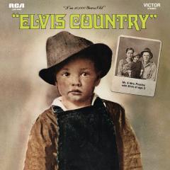 There Goes My Everything von Elvis Presley (Download) 