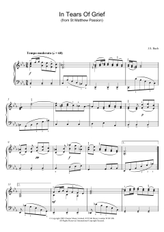 In Tears Of Grief (Download) 