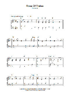 Rose Of Tralee von Traditional (Download) 