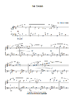 The Swan (Download) 