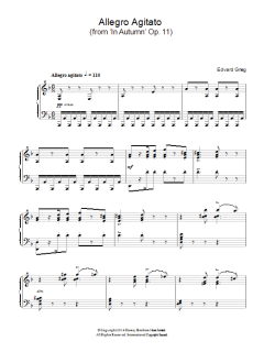 Allegro Agitato von Edvard Grieg (Download) 