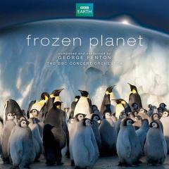 Frozen Planet, Surfing Penguins von George Fenton (Download) 
