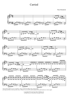 Carried von Peter Broderick (Download) 