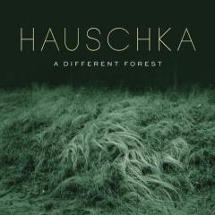 Misty Day von Hauschka (Download) 