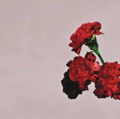 You And I (Nobody In The World) von John Legend (Download) 