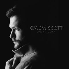 You Are The Reason von Calum Scott (Download) 