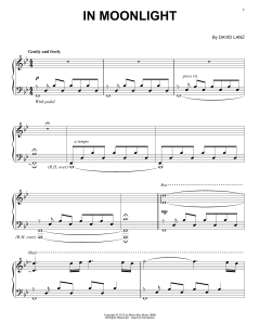 In Moonlight von David Lanz (Download) 