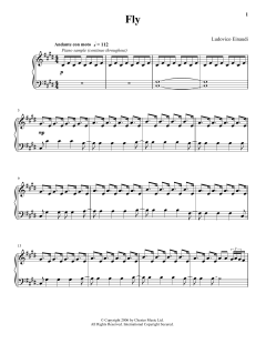 Fly (Download) 