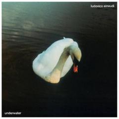 The Tree von Ludovico Einaudi (Download) 