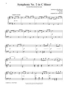 Symphony No. 5, Second Movement Excerpt (Download) 