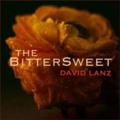 The Bittersweet von David Lanz (Download) 