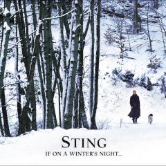 A Soalin' (A.K.A. "Soul Cake") von Sting (Download) 