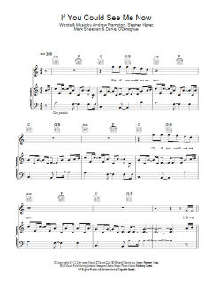 If You Could See Me Now von The Script (Download) 