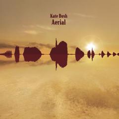 King Of The Mountain von Kate Bush (Download) 