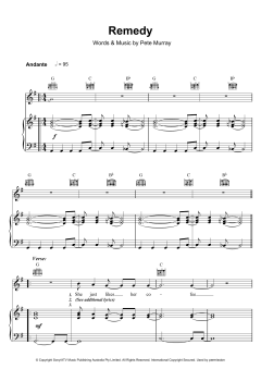 Remedy von John H. Hopkins Jr. (Download) 