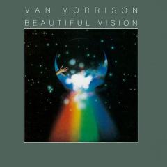 Cleaning Windows von Van Morrison (Download) 