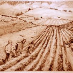 We Plough The Fields And Scatter von Stephen Sondheim (Download) 