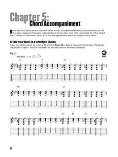 Beginning Blues Guitar von Dave Rubin 