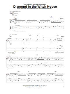 Diamond In The Witch House von Mastodon (Download) 