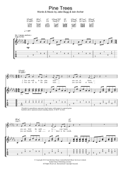 Pine Trees von Jake Bugg (Download) 