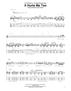 It Hurts Me Too von Big Bill Broonzy (Download) 
