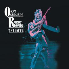 Iron Man von Randy Rhoads (Download) 