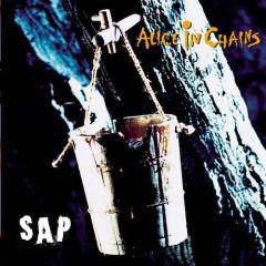 Got Me Wrong von Alice In Chains (Download) 