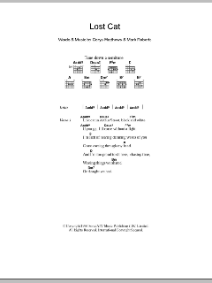 Lost Cat von Catatonia (Download) 