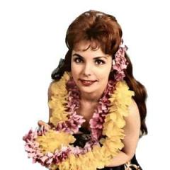 Maori Farewell Song von Traditional Hawaiian Folksong (Download) 