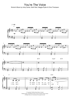 You're The Voice (Download) 