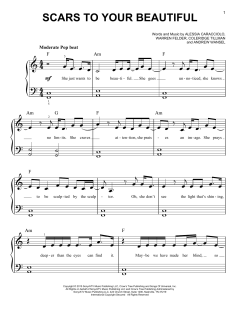 Scars To Your Beautiful von Alessia Cara (Download) 