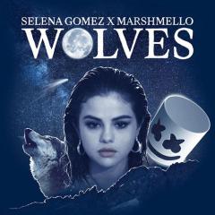 Wolves von Selena Gomez (Download) 