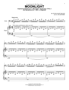 Moonlight von Steven Sharp Nelson (Download) 