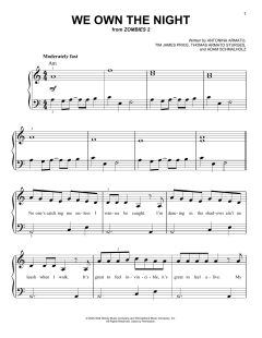 We Own The Night von Antonina Armato (Download) 