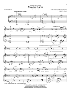 Meadow-Larks von Richard Walters (Download) 